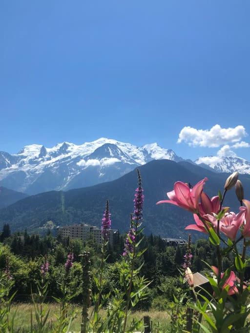 Appartement au pays du Mont-Blanc - Chambres d'hôtes Sallanches