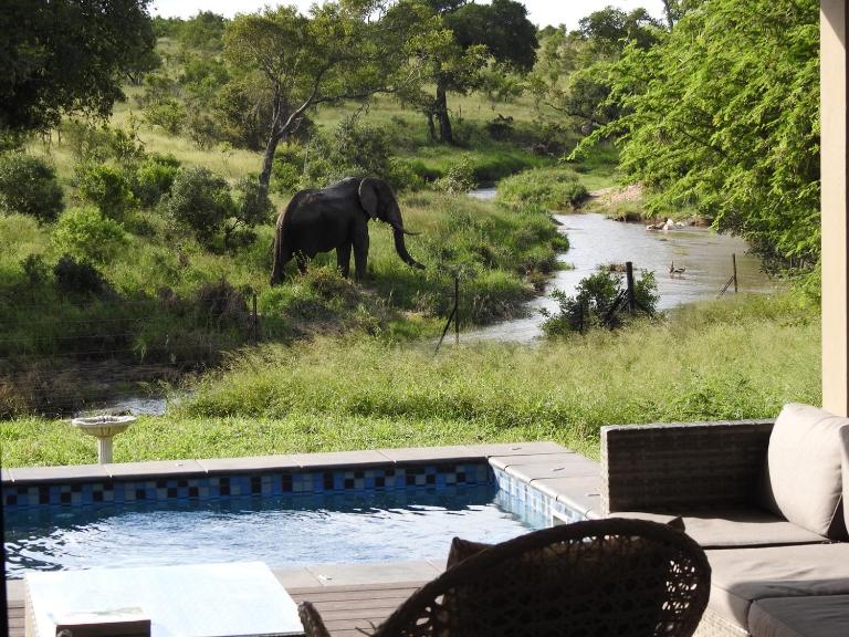 Barn Owl Lodge, Mjejane Game Reserve, Greater Kruger Park - B&B Hectorspruit