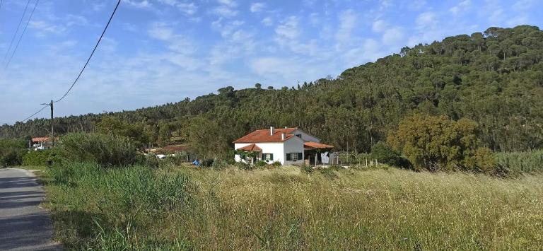 AL- Quinta dos Carvalhais - B&B Rio Maior