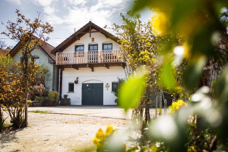 Vinařský apartmán Špalek - B&B Nový Šaldorf