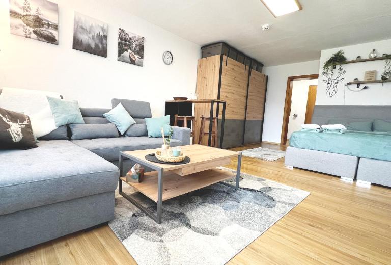 Moderne, 1-Zimmer Ferienwohnung mit Bergblick - Chambres d'hôtes Oy-Mittelberg