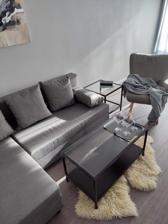 CHAIKA Dubulti Jurmala 2 room apartment - B&B Jūrmala
