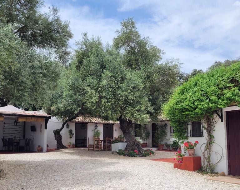 Casa Abanto - Ferienwohnung Ronda