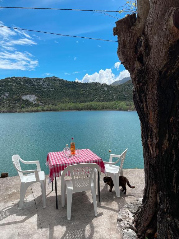 Lakeview Apartments Jolicic - Chambres d'hôtes Virpazar
