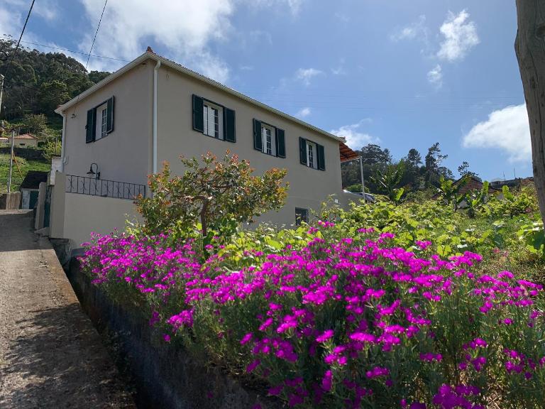 Terra Batista house - B&B Porto da Cruz