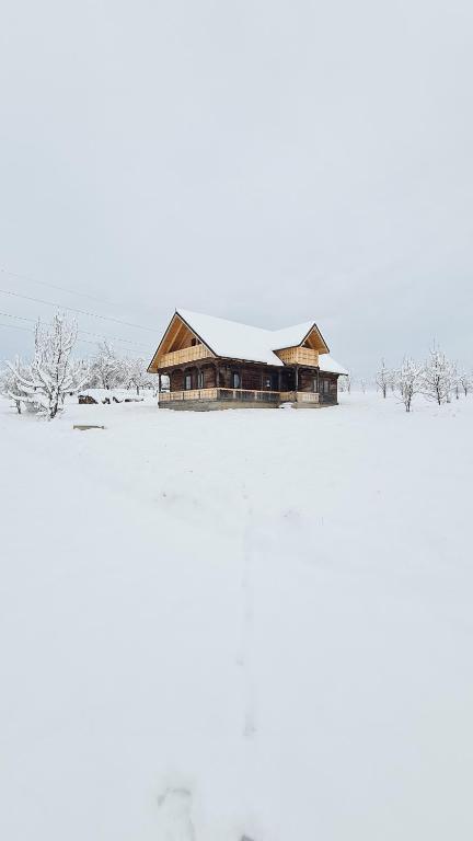 Casa bunicilor din Oncești - B&B Oncești
