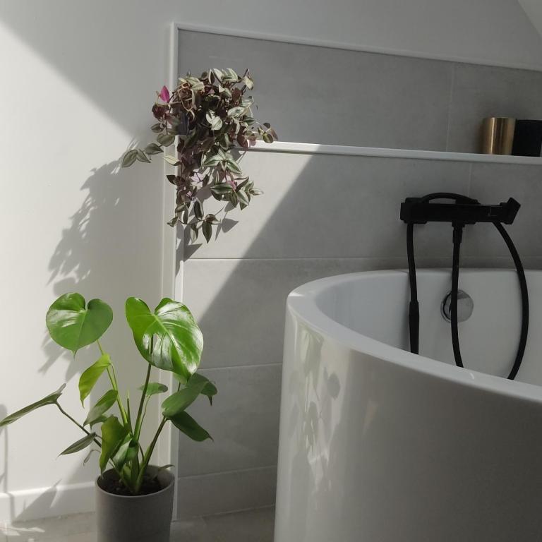 A l'Ombre des Bois, Chambre double vue jardin - B&B Neung-sur-Beuvron
