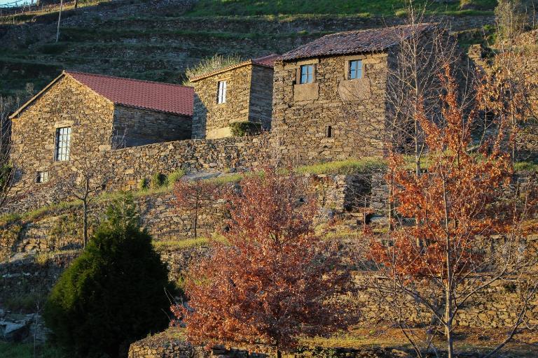 Cardenha do Douro - Chambres d'hôtes Mesão Frio