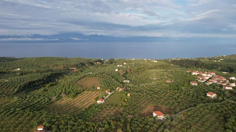 3 ASTERIA - B&B Kompi
