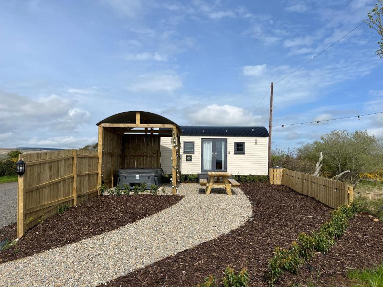 Redfox Shepherds hut and private hot tub - B&B Ballynameen