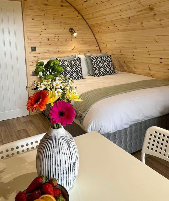 Plumgrove Pod Easkey - B&B Sligo