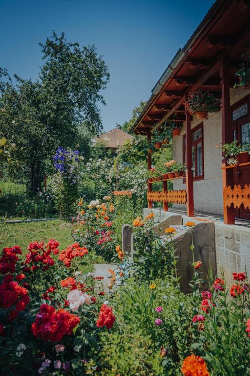 Casa Bajora - B&B Scorţeni