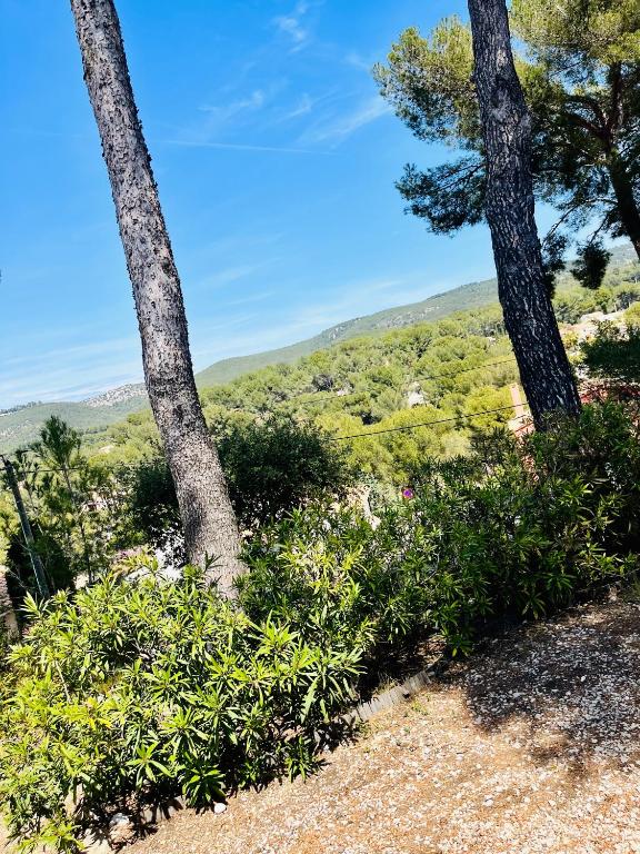 Villa Sanary - 12 min à pied plage - La Pinède - B&B Sanary-sur-Mer