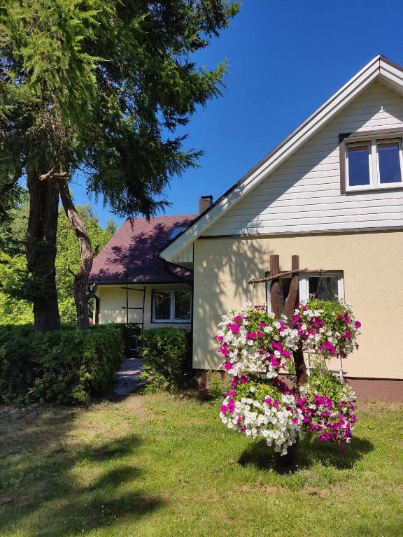 Katase Puhkemaja - B&B Katase