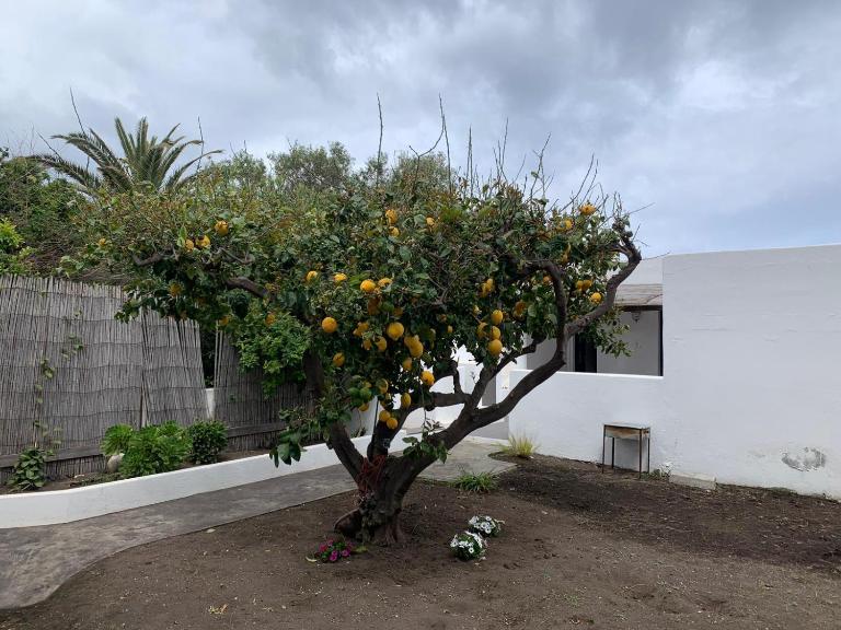 Casa Cristian Stromboli - Ferienwohnung Stromboli