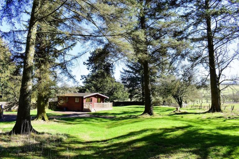Secluded Pine Lodge 2 - B&B Wigton