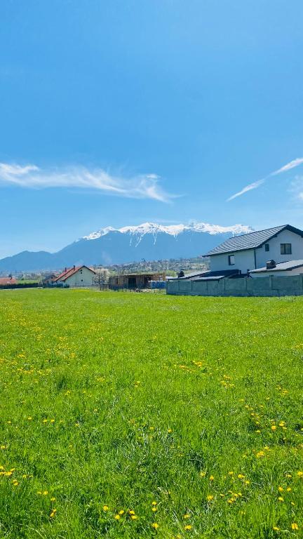 D&M Family Residence Bran 1 - B&B Bran