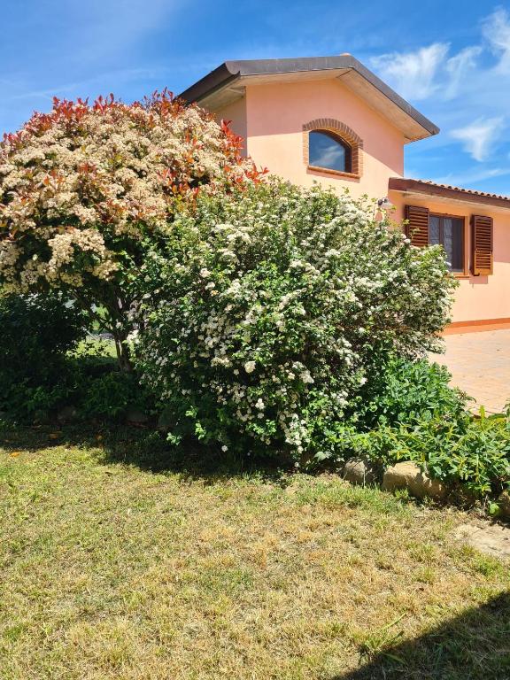 Montepulciano - La Casetta del Pian delle Noci - B&B Acquaviva