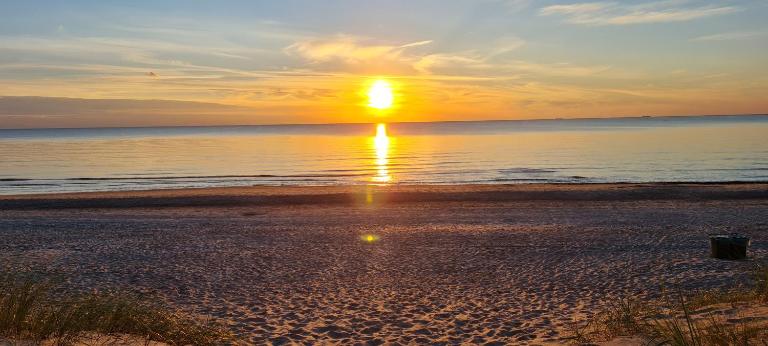 3 ruoniai - B&B Palanga