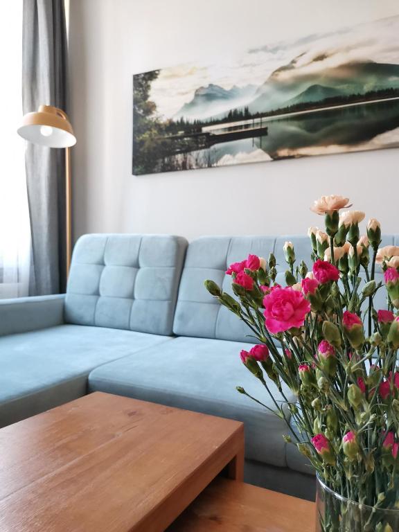 Apartamenty w ścisłym centrum Kupiecka-Drzewna - Bed and Breakfast Zielona Góra