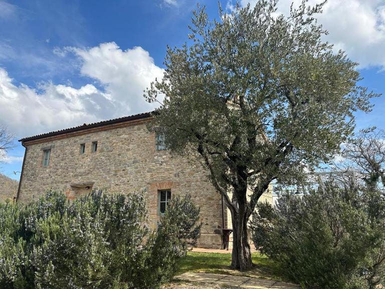 Borgo Cardaneto - Chambres d'hôtes Montone
