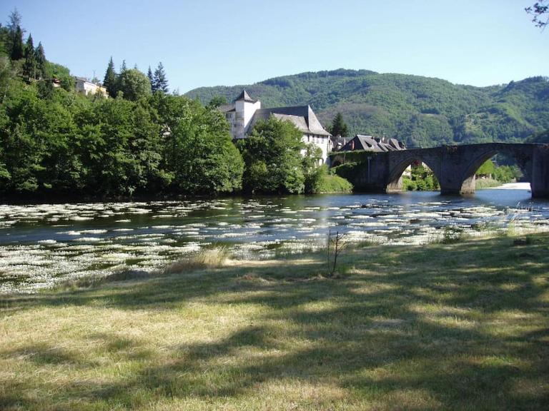 Vue du Pont - B&B Entraygues-sur-Truyère