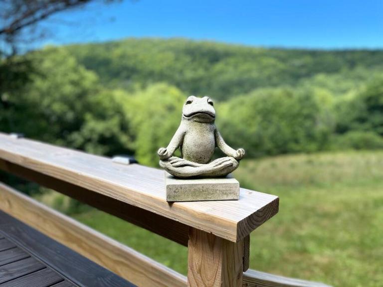 Breathtaking views. Hot tub. Huge Deck. Fast Wifi - B&B Andes