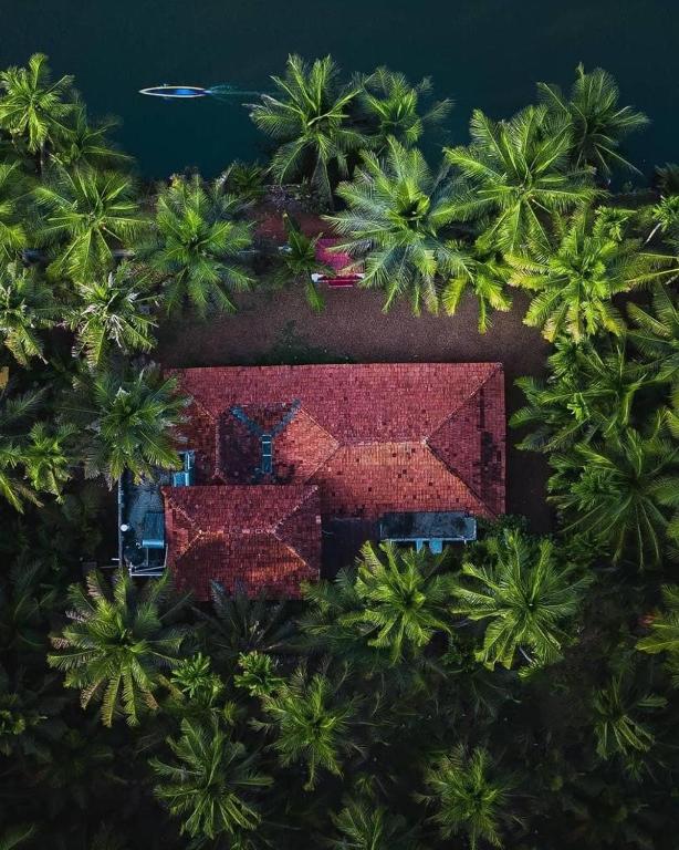cocozone stays - B&B Alleppey