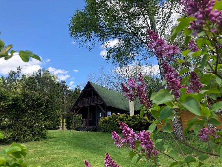 Domek Pod Lasem - Bed and Breakfast Trzciana