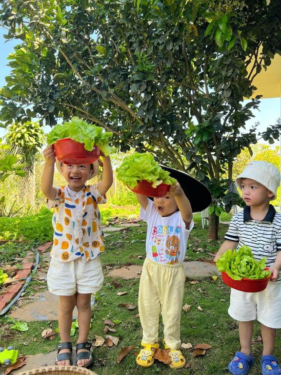 Homestay Vườn Trái Cây Nhiệt Đới VÔ ƯU GARDEN - Chambres d'hôtes Bảo Lộc