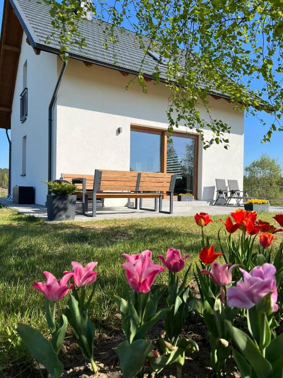 Dom na Kaszubach "White House" - B&B Stężyca