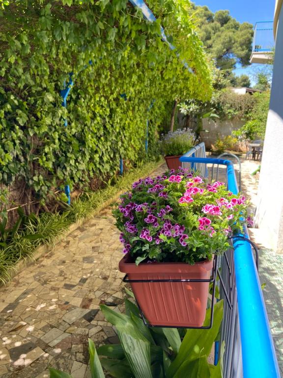 Villa Savoia Mondello - Chambres d'hôtes Mondello