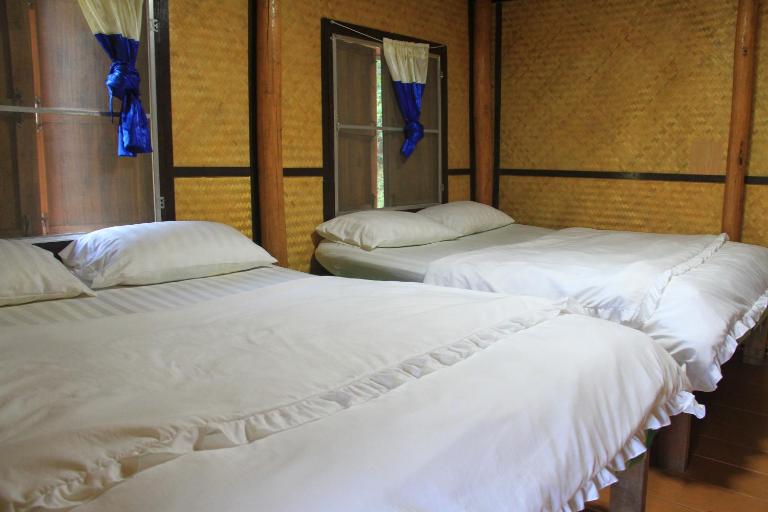 Rangbondoi - Birdhides Included and available for birding guide - Bed and Breakfast Ban Phae