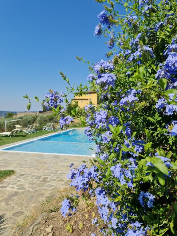 Fattoria di Maiano - B&B Fiésole