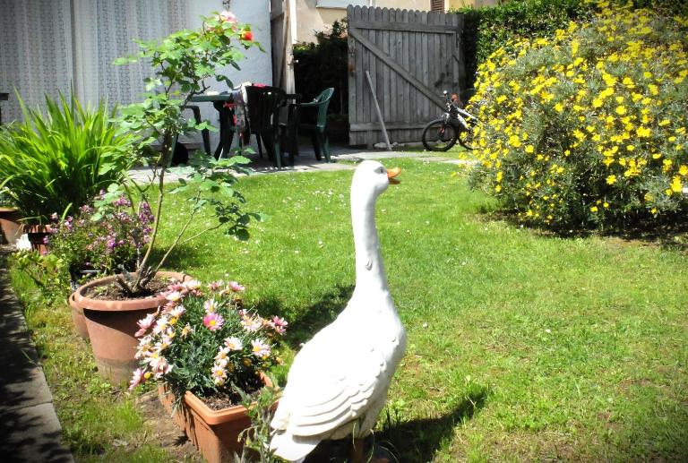 Appartamento con giardino a 5 minuti dal mare - B&B Torre del Lago Puccini