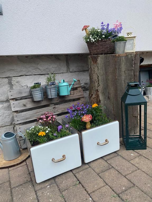 Apartmán ANA - B&B Terchová