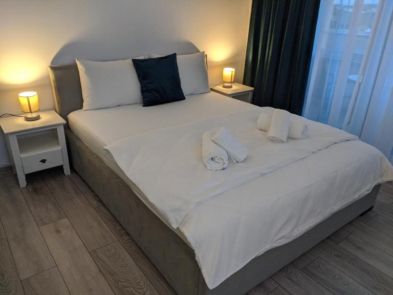 Alina's Deluxe Apartment and free private parking - Chambres d'hôtes Dumbrăviţa