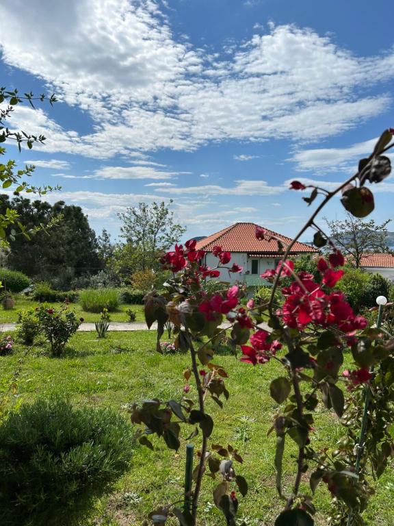 Mari e Monti - Ferienwohnung Palaió Tsiflíki