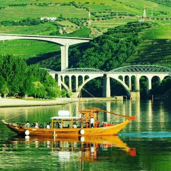 Casa do Trovão - Douro - Chambres d'hôtes Peso da Régua