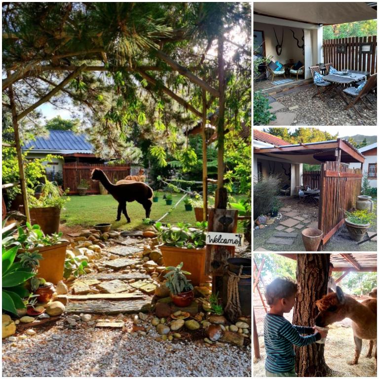 Alpaca Self Catering Cottage Kleinmond - B&B Kleinmond