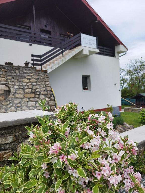 Holling apartman - Bed and Breakfast Fertőboz