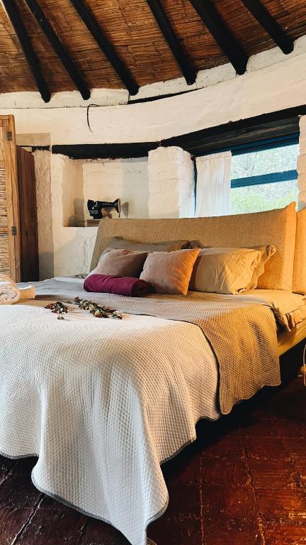 El Hayuelo Ecolodge - Bed and Breakfast Villa de Leyva