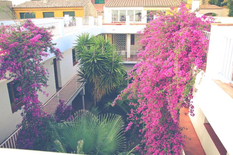 El Penell Apartament Llevant - B&B Vilamaniscle
