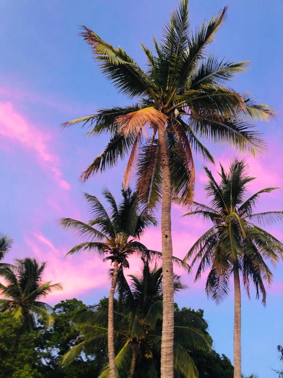 Casa Ophelia - B&B Tamarindo