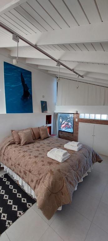 Las Anémonas Sur - B&B Puerto Madryn