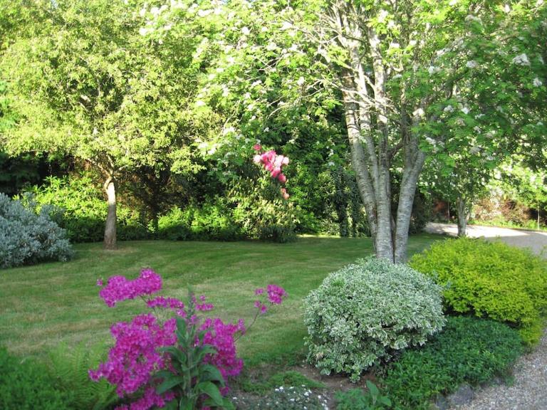 Self catering apartment at Beechwalk House. - B&B Enniskerry