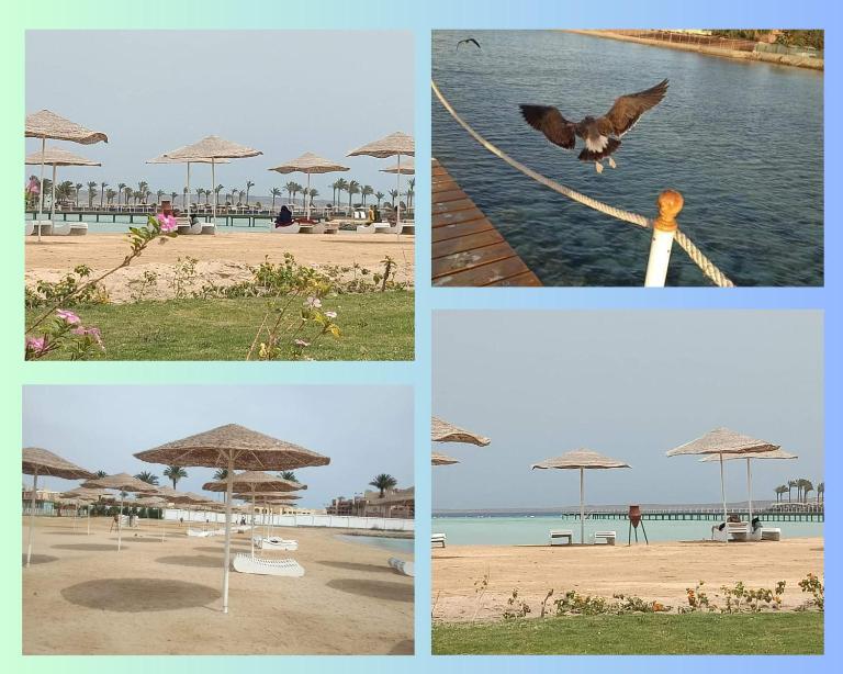Scandic Resort: Comfy & Cozy. A433 - Chambres d'hôtes Hurghada