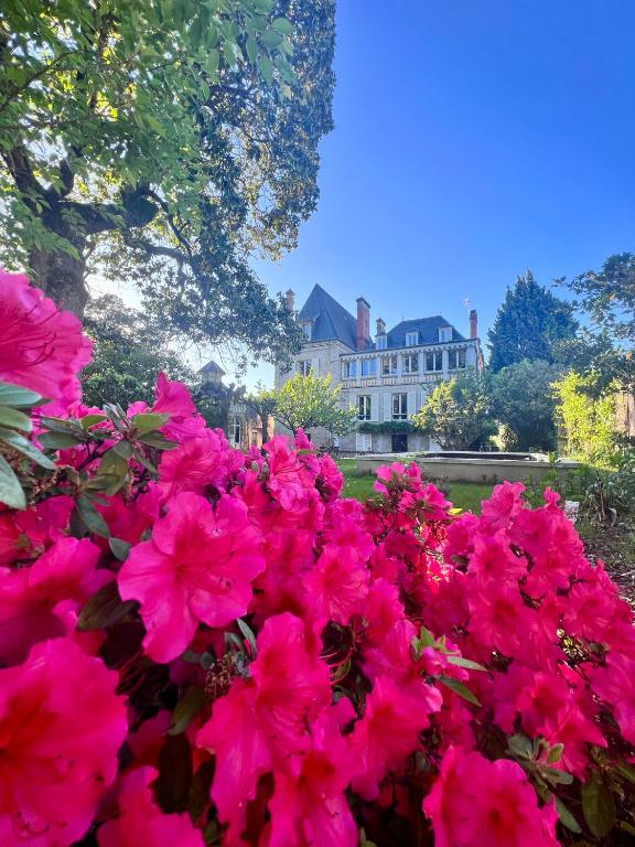 Demeure de Flore - Hôtel Particulier au Cœur de Brive comprenant 8 appartements de charme - Chambres d'hôtes Brive-la-Gaillarde