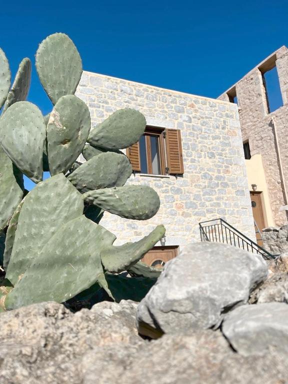 kir-Yiannis stonehouse @Areopoli - B&B Areópoli