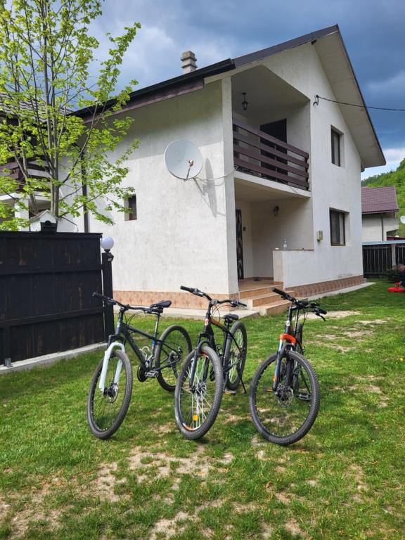 Casa Mi&Ra - B&B Lepșa